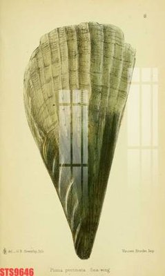 File gốc Tranh sơn dầu phương tây tổng hợp STS9646 (in lụa) họa tiết 3D