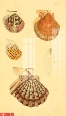 File in ấn Tranh sơn dầu phương tây tổng hợp STS9649 (bản gốc) sắc nét