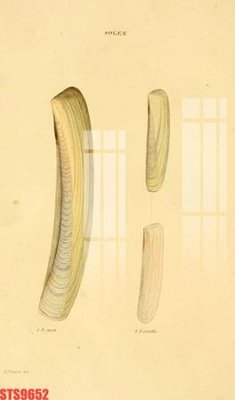 Tải file gốc Tranh sơn dầu phương tây tổng hợp STS9652 dùng cho in ấn