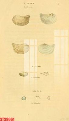 Download file gốc Tranh sơn dầu phương tây tổng hợp STS9661 (in lụa) cao cấp