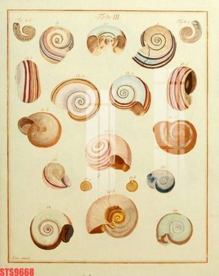 File gốc Tranh sơn dầu phương tây tổng hợp STS9668 (in tráng gương) nghệ thuật