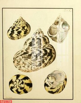 File PSD Tranh sơn dầu phương tây tổng hợp STS9673 (bản gốc) cho nhà in