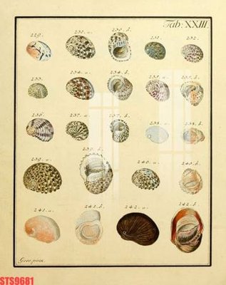 File tranh Tranh sơn dầu phương tây tổng hợp STS9681 (ảnh gốc) cho in ấn kỹ thuật số