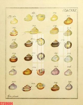 Tải file Tranh sơn dầu phương tây tổng hợp STS9684 (ảnh gốc) độ phân giải 300dpi