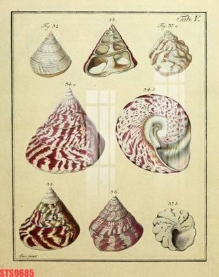 File tranh Tranh sơn dầu phương tây tổng hợp STS9685 (file gốc) chuẩn màu in