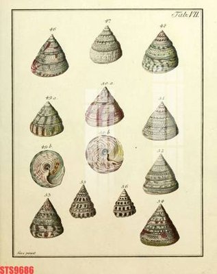 File PSD Tranh sơn dầu phương tây tổng hợp STS9686 (gốc) tách lớp chi tiết