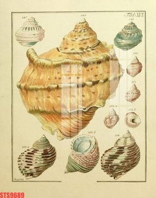 Ảnh gốc Tranh sơn dầu phương tây tổng hợp STS9689 (độ nét cao) in tráng gương