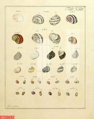 File gốc Tranh sơn dầu phương tây tổng hợp STS9692 (in lụa) cao cấp