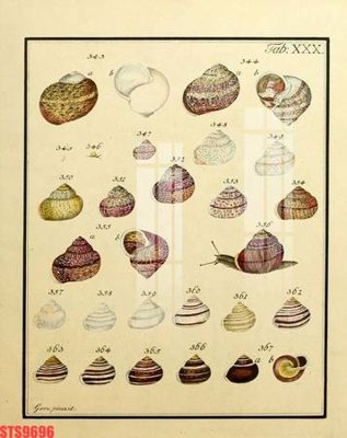 File gốc Tranh sơn dầu phương tây tổng hợp STS9696 (in lụa) tranh mã đáo