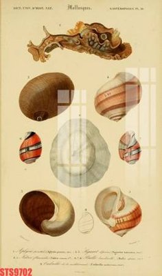 Tải file gốc Tranh sơn dầu phương tây tổng hợp STS9702 (in không vỡ ảnh)