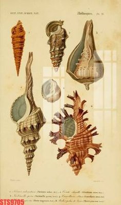 Tải file gốc Tranh sơn dầu phương tây tổng hợp STS9705 (in tráng gương) 3DFile gốc Tranh sơn dầu phương tây tổng hợp STS9705 (sẵn sàng in) chất lượng cao