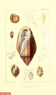 Tải file Tranh sơn dầu phương tây tổng hợp STS9718 (gốc) in tranh tráng gương