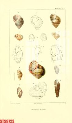 File gốc Tranh sơn dầu phương tây tổng hợp STS9723 (in mica) cắt laser