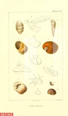 File tranh Tranh sơn dầu phương tây tổng hợp STS9724 (gốc) in backlit film