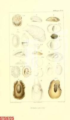 File gốc in ấn Tranh sơn dầu phương tây tổng hợp STS9725 độ phân giải cao