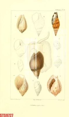 File in trần Tranh sơn dầu phương tây tổng hợp STS9727 (bản gốc) hoa văn