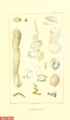 File gốc Tranh sơn dầu phương tây tổng hợp STS9732 (phong cách) châu Âu