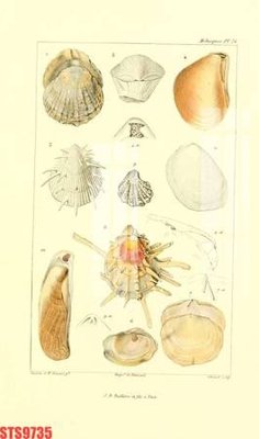 Download file gốc Tranh sơn dầu phương tây tổng hợp STS9735 (in lụa) hoa lá