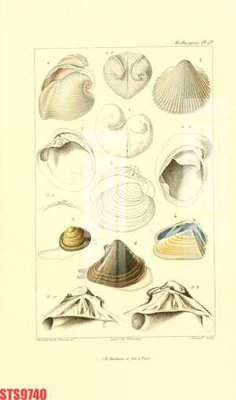 File gốc in ấn Tranh sơn dầu phương tây tổng hợp STS9740 (sẵn sàng tải về)