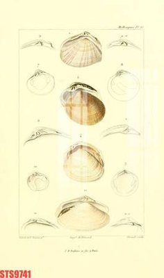 File tranh in tráng gương Tranh sơn dầu phương tây tổng hợp STS9741 (siêu nét)