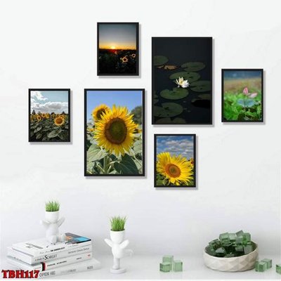 Download file File tranh bộ 6 tấm hoa sen hoa hướng dương TBH117 (chuẩn in) File tranh bộ 6 tấm hoa sen hoa hướng dương TBH117