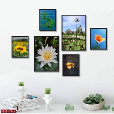 Ảnh gốc File tranh bộ 6 tấm hoa sen hoa hướng dương TBH152 (độ nét cao) in tráng gương