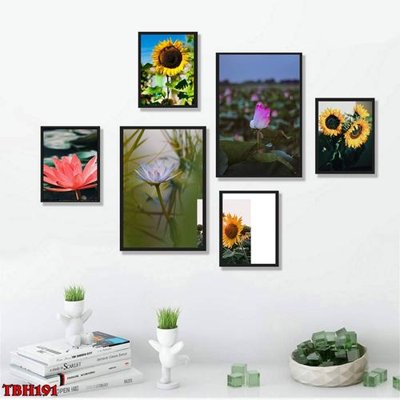 File gốc File tranh bộ 6 tấm hoa sen hoa hướng dương TBH191 (bản quyền) cho in ấn