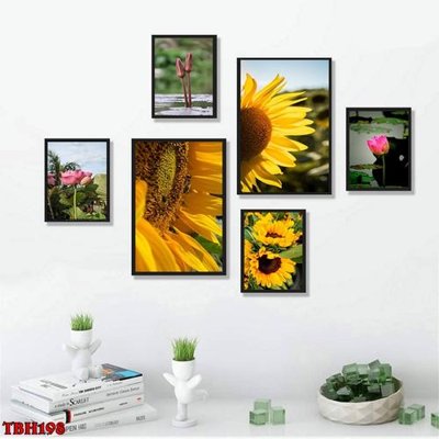 File tranh File tranh bộ 6 tấm hoa sen hoa hướng dương TBH198 (file gốc) chuẩn màu in