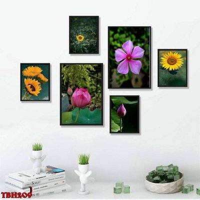 File tranh File tranh bộ 6 tấm hoa sen hoa hướng dương TBH209 (bản gốc) treo tường