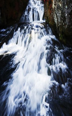 File gốc File tranh đứng lối vào TD2218 (ảnh chi tiết) để in lụa