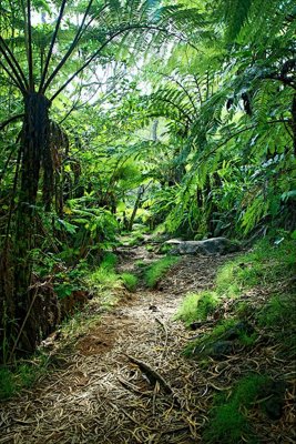 File PSD in ấn File tranh đứng lối vào TD2480 (chất lượng cao)