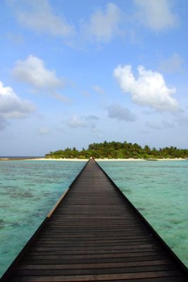 File tranh trang trí File tranh đứng lối vào TD2564 (file gốc)