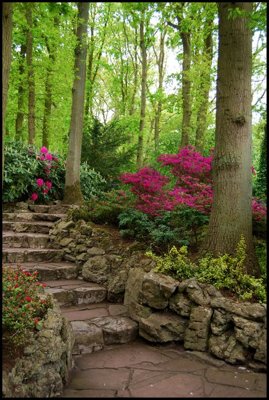 Tải file File tranh đứng lối vào TD2636 (ảnh gốc) in gạch men