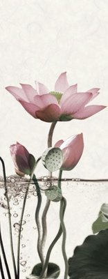 Tải file File tranh đứng lối vào TD2655 (ảnh gốc) in tranh kính