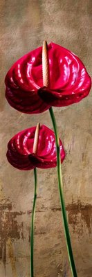 Ảnh gốc File tranh đứng lối vào TD2837 (độ nét cao) in tráng gương