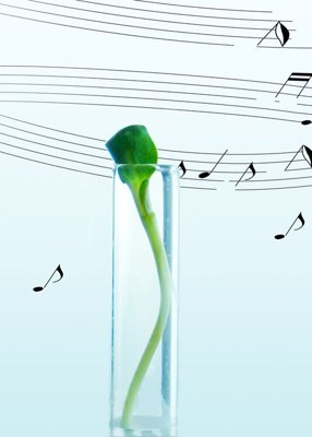 File PSD File tranh đứng lối vào TD2899 (chất lượng in ấn)