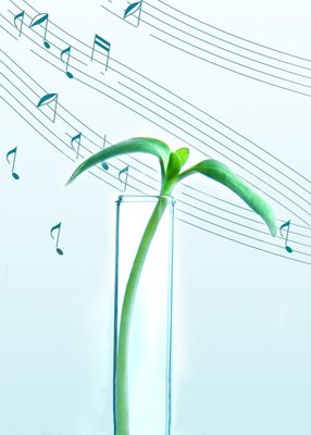 File in trần File tranh đứng lối vào TD2901 (bản gốc) trời sao