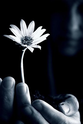 File gốc File tranh đứng lối vào TD2941 (AI/EPS) cho in ấn