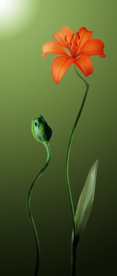 File gốc File tranh đứng lối vào TD2982 (ảnh chi tiết) để in lụa