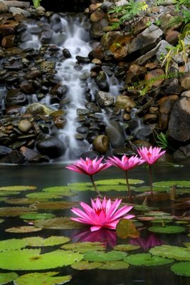 Download file File tranh đứng lối vào TD2987 (chuẩn in) File tranh đứng lối vào TD2987