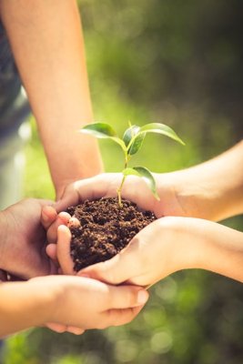 File gốc File tranh đứng lối vào TD2998 (chuẩn màu) cho in offset