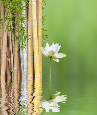 File gốc File tranh đứng lối vào TD3011 (bản quyền) cho in ấn