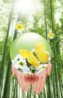 File tranh File tranh đứng lối vào TD3020 (bản gốc) treo phòng ăn