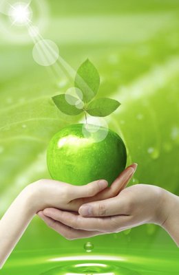 File PSD File tranh đứng lối vào TD3027 (gốc) cho in quảng cáo