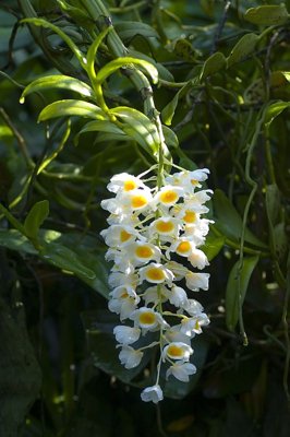 File gốc File tranh đứng lối vào TD3083 (ảnh chi tiết) để in ấn