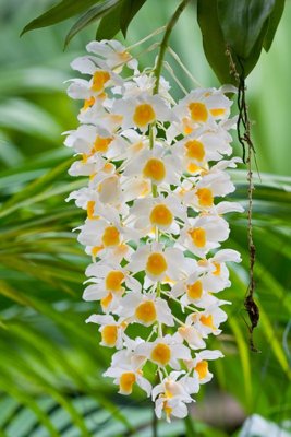 Tải file gốc File tranh đứng lối vào TD3100 (in tráng gương) 5DFile gốc File tranh đứng lối vào TD3100 (in ấn) phiên bản premium