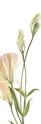 File gốc File tranh đứng lối vào TD3132 (PNG) nền trong suốt