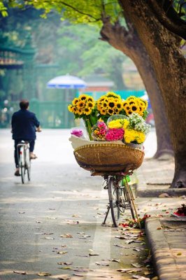 Tải file gốc File tranh đứng lối vào TD3151 (in khổ lớn) quảng cáo