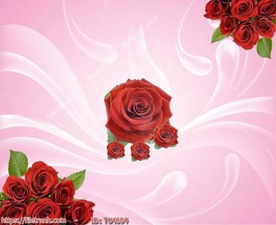 File gốc File in tủ nhựa TU4084 (in tráng gương) nghệ thuật