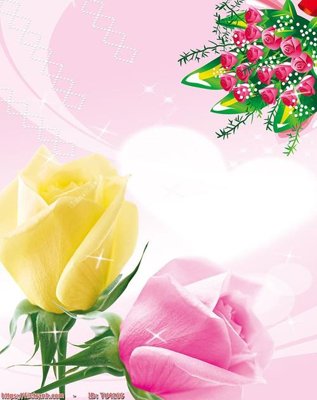 File tranh in mica File in tủ nhựa TU4166 (độ phân giải cao)